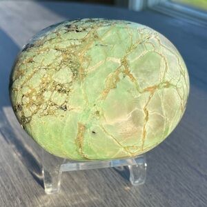 Extra Large Rare Varisite Palmstone